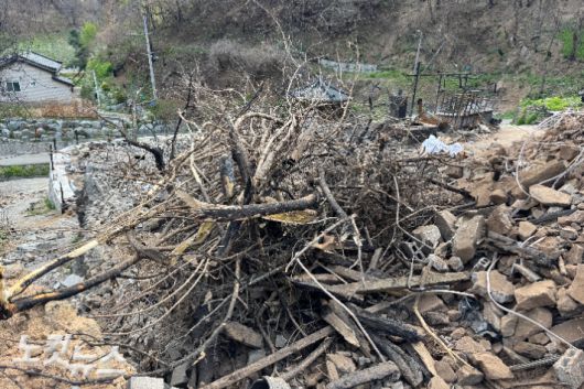 산불로 큰 피해를 본 안동시 남선면 도로리. 이우섭 기자
