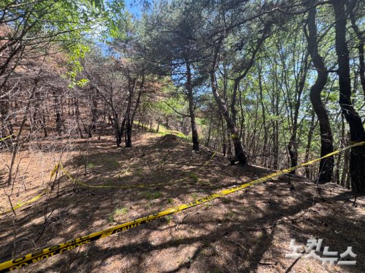 의성군 안평면 괴산리 발화 지점. 경찰은 한 50대 성묘객이 나무를 제거하기 위해 불을 붙이다 대형 산불로 이어진 것으로 추정 중이다. 이우섭 기자