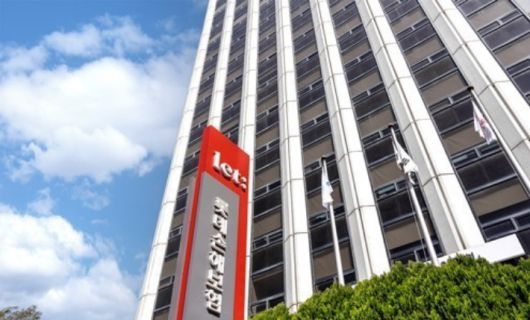 롯데손해보험 제공