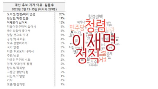한국갤럽 여론조사 자료 캡처