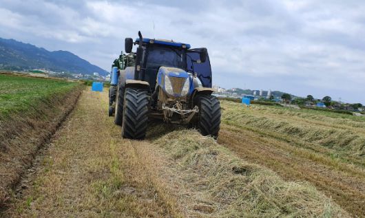 전남의 들녘에서 조사료를 생산하고 있다. 전남도 제공