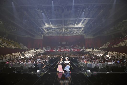 15일 열린 마지막 날 공연에서 팬들은 아이린&슬기를 위한 카드섹션 이벤트를 준비했다. 레드벨벳 공식 트위터