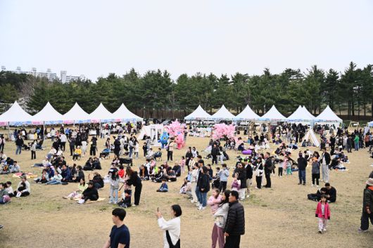 2025 영랑호 벚꽃축제. 속초시 제공