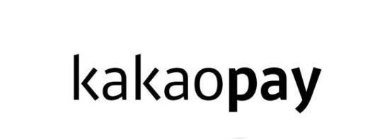 카카오페이 제공