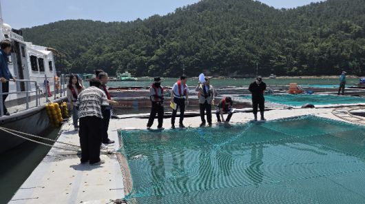 고수온·적조 양식장 사전 점검. 전라남도 제공