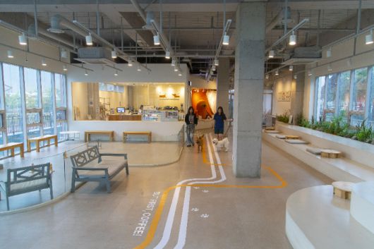 오산 동물농장테마파크. 자료사진