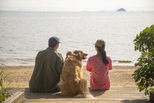 화성 궁평오솔로파크. 자료사진