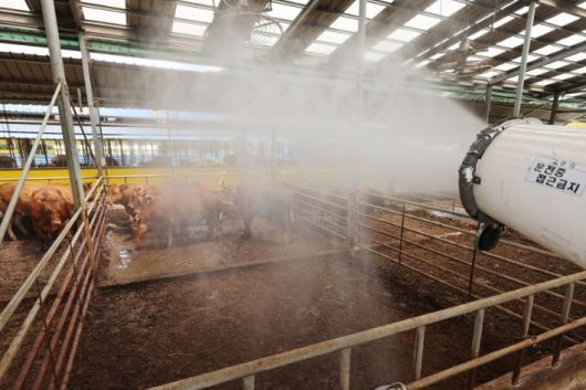 축산농가. 연합뉴스