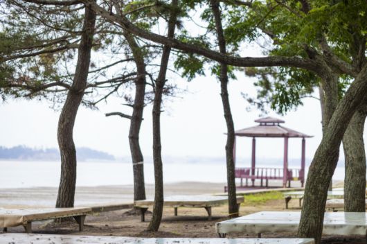 무안 홀통해수욕장 모습. 전라남도 제공