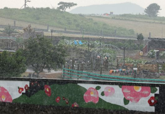 이토록 반가운 소나기가 있었나     (제주=연합뉴스) 박지호 기자 = 폭염이 이어진 9일 오후 제주시 애월읍 봉성리 새별오름 일대에 국지성 소나기가 쏟아지고 있다. 2025.7.9     jihopark@yna.co.kr (끝)   <저작권자(c) 연합뉴스, 무단 전재-재배포, AI 학습 및 활용 금지> 연합뉴스