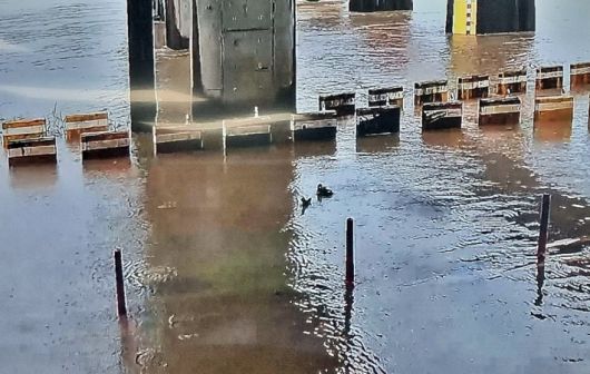 집중호우로 침수된 경주시 유림지하차도. 경주시 제공
