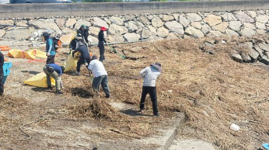 전남도 해양수산국 공무원들이 폭우로 쓸려온 쓰레기를 수거하고 있다. 전라남도 제공