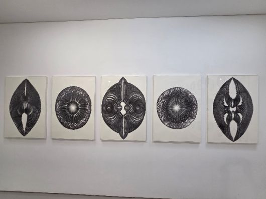 프랑스를 기반으로 서울울 오가며 활동 중인 남궁환(50) 작가의 개인전 'Entoptima: 별의 기억'이 서울 종로구 삼청로 아트파크에서 열리고 있다. 곽인숙 기자