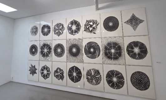 프랑스를 기반으로 서울울 오가며 활동 중인 남궁환(50) 작가의 개인전 'Entoptima: 별의 기억'이 서울 종로구 삼청로 아트파크에서 열리고 있다. 곽인숙 기자