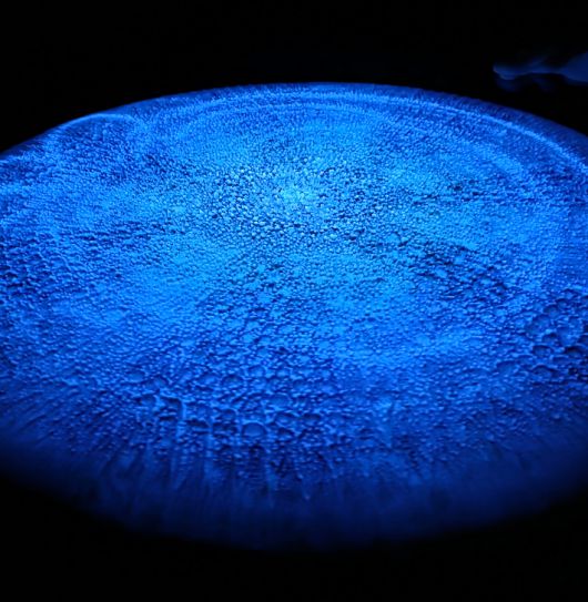 프랑스를 기반으로 서울울 오가며 활동 중인 남궁환(50) 작가가 서울 종로구 삼청로 아트파크에서 열고 있는 13년 만의 국내 개인전 'Entoptima: 별의 기억'에서 선보인 설치작품 'ENTOPTIMA _ 별의 기억 _ Souffle'. 곽인숙 기자