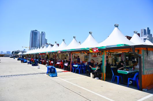 속초 오징어 난전. 속초시 제공