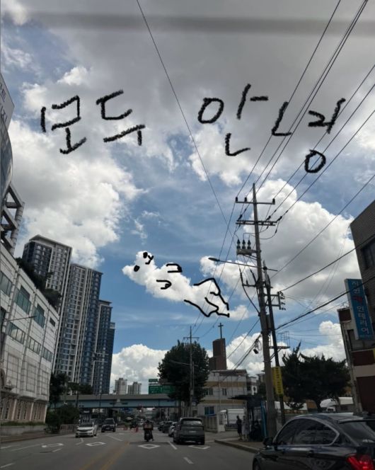 가수 이효리 SNS 화면 캡처.