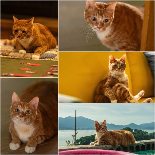 영화 '좀비딸' 스틸컷. NEW 제공