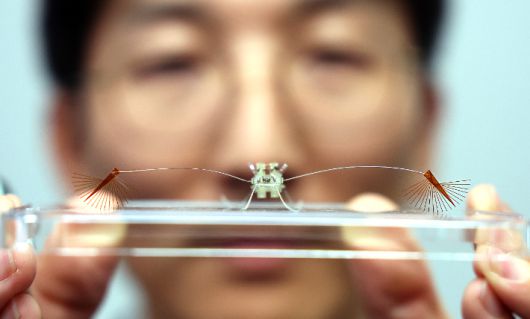 22일 정부가 초혁신경제 15대 선도 프로젝트를 집중 지원하겠다고 밝힌 가운데 전날인 21일 아주대학교 고제성 교수가 정부세종청사 과학기술정보통신부 기자실에서 수면 위를 자유자재로 기동하는 곤충 라고벨리아(부채다리 소금쟁이)를 모사한 초소형 로봇을 세계 최초로 개발하는데 성공했다고 밝히고 있다. 이번 연구 성과는 세계 최고 권위의 학술지 사이언스에 표지 논문으로 게재됐다. 연합뉴스