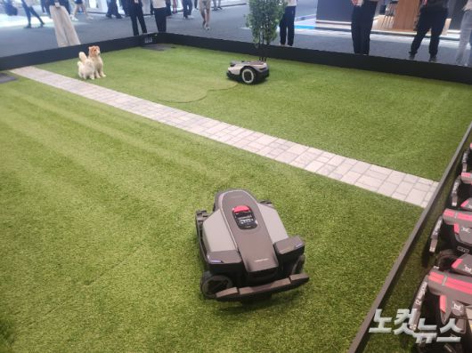 로보락의 로봇 잔디깎이. 베를린=박성완 기자
