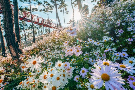 산청 동의보감촌. 경남도청 제공