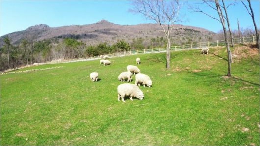 숲소리공원. 거제시청 제공