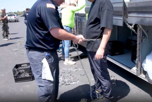 미국 이민 단속 당국이 홈페이지를 통해 지난 4일(현지시간) 조지아주 현대차그룹-LG에너지솔루션의 합작 배터리 공장 건설 현장에서 벌인 불법체류·고용 단속 현장 영상을 홈페이지에 공개했다. 미국 이민세관단속국 홈페이지 영상 캡처