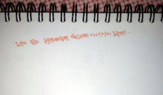 고(故) 최숙현 선수의 2017년 뉴질랜드 전지훈련 당시 일지. 최 선수는 감독과 팀닥터, 동료 선수들로부터 가혹행위 피해를 입은 것으로 알려졌다. 그는 2020년 6월 26일 스스로 목숨을 끊었다. 연합뉴스