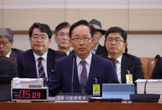 김대웅 서울고등법원 법원장이 20일 서울 여의도 국회에서 열린 2025년도 법제사법위원회 국정감사에 기관 증인으로 출석해 의원 질의에 답하고 있다. 연합뉴스