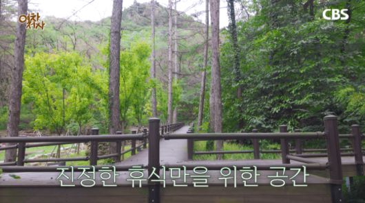 고대산 자연휴양림 무장애산책길. 유튜브  캡처