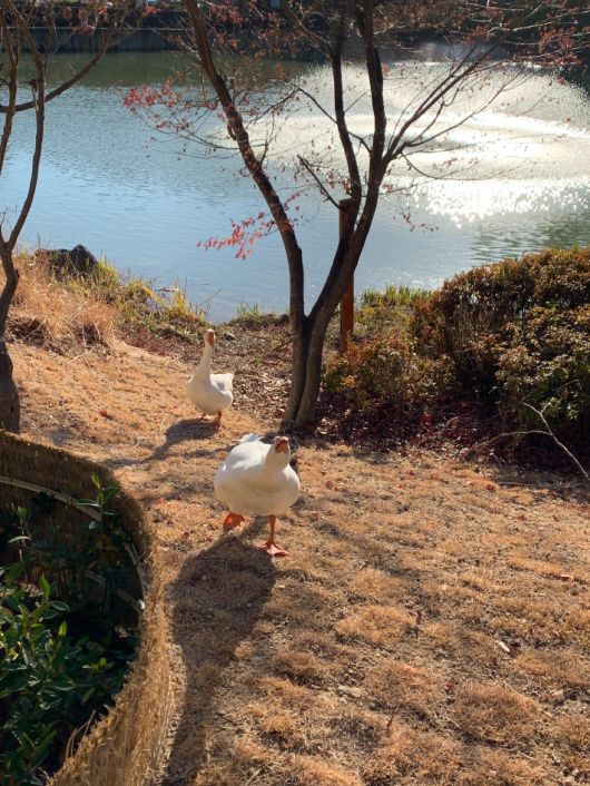 조중의 포항대학교 초빙교수·전직 언론인 제공