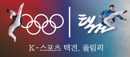 택견의 올림픽 진출을 위한 홍보 포스터. 대한택견회 제공