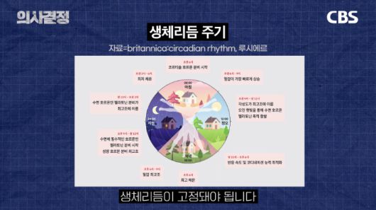 강동경희대학교 신경과 신원철 교수 편. '의사결정' 유튜브 캡처