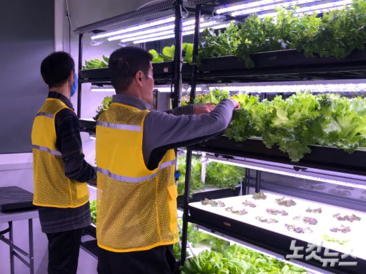 경기 성남시에 위치한 '따밥팜'. 박찬영 매니저와 김상식 매니저가 따밥팜에서 일하고 있다. 장세인 기자