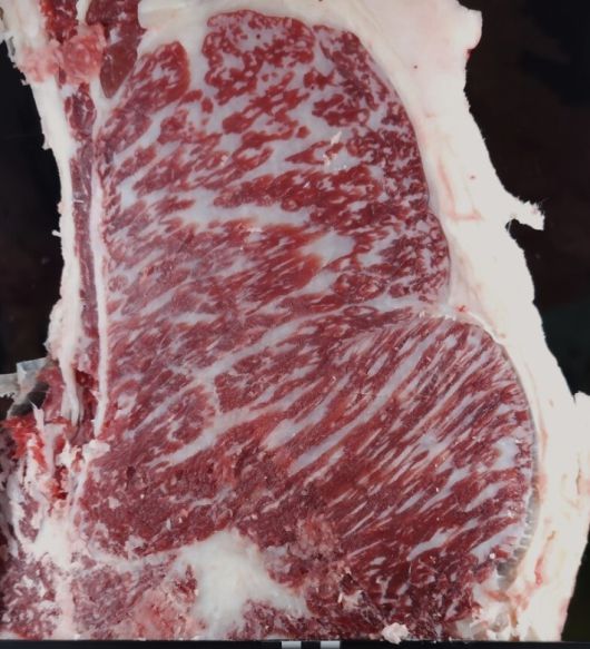 역대 최고치 면적을 경신한 장암영농조합법인의 한우 등심. 농협중앙회 제주본부 제공