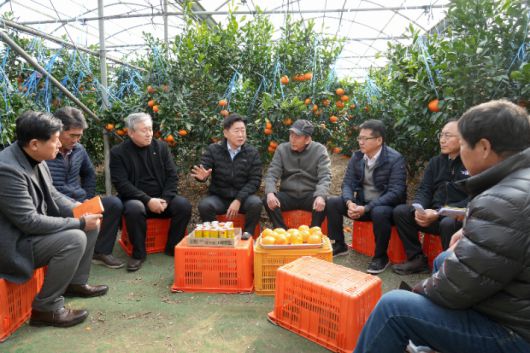 오영훈 지사가 14일 제주시내 레드향 재배 농가에서 현장 간담회를 갖고 있다. 제주도 제공