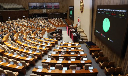 민주당 주도로 2차 종합특검법 본회의 통과. 연합뉴스