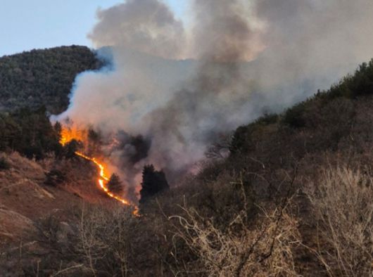 지난 21일 오후 3시 2분쯤 옥곡면의 한 주택에서 발생한 불이 강풍을 타고 인근 야산으로 번졌다. 독자 제공