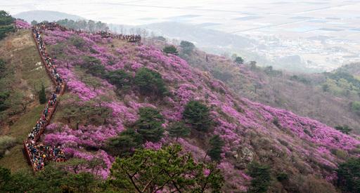 세계일보