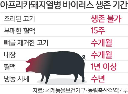 세계일보