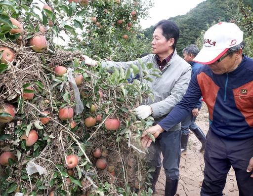 세계일보