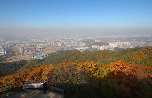 세계일보