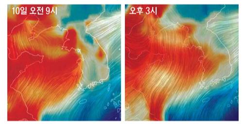 세계일보