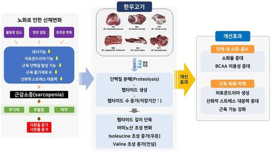 세계일보