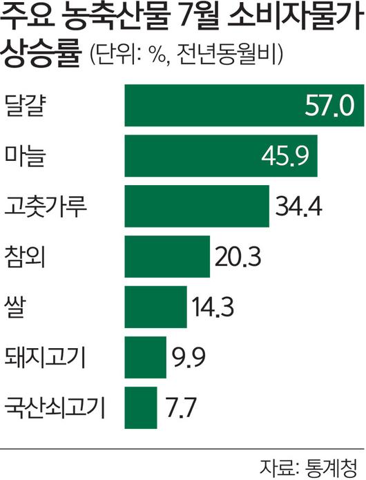 세계일보