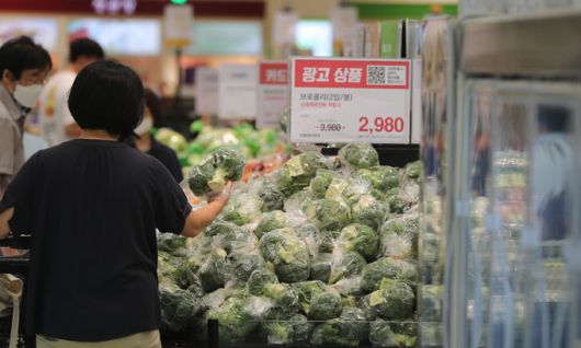 서울 시내 대형마트에 채소 신선식품 판매대 모습. 연합뉴스