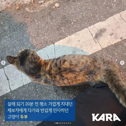 세계일보