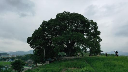 세계일보