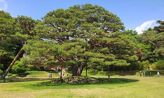 세계일보