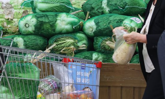 지난 7일 서울의 한 마트에서 고객이 장을 보고 있다. 연합뉴스